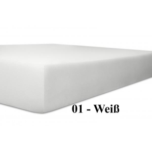 Bild von Kneer Q25 Easy-Jersey Spannbetttuch 180x200 - 200x220 diverse Farben